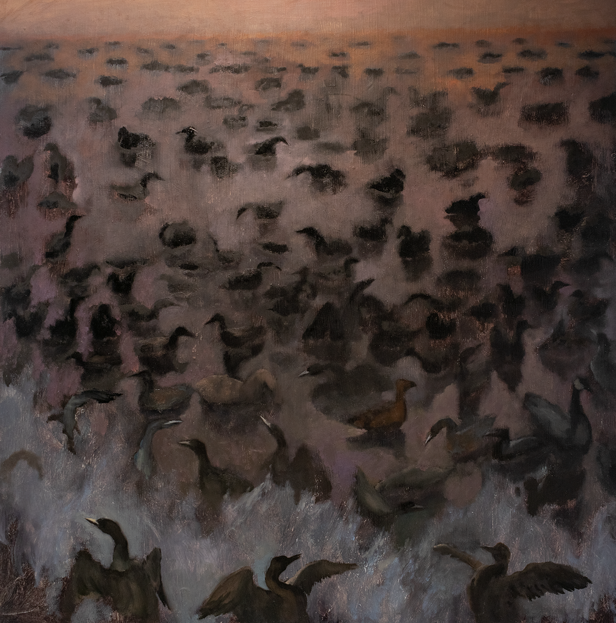 Illustration of birds in an oil spill