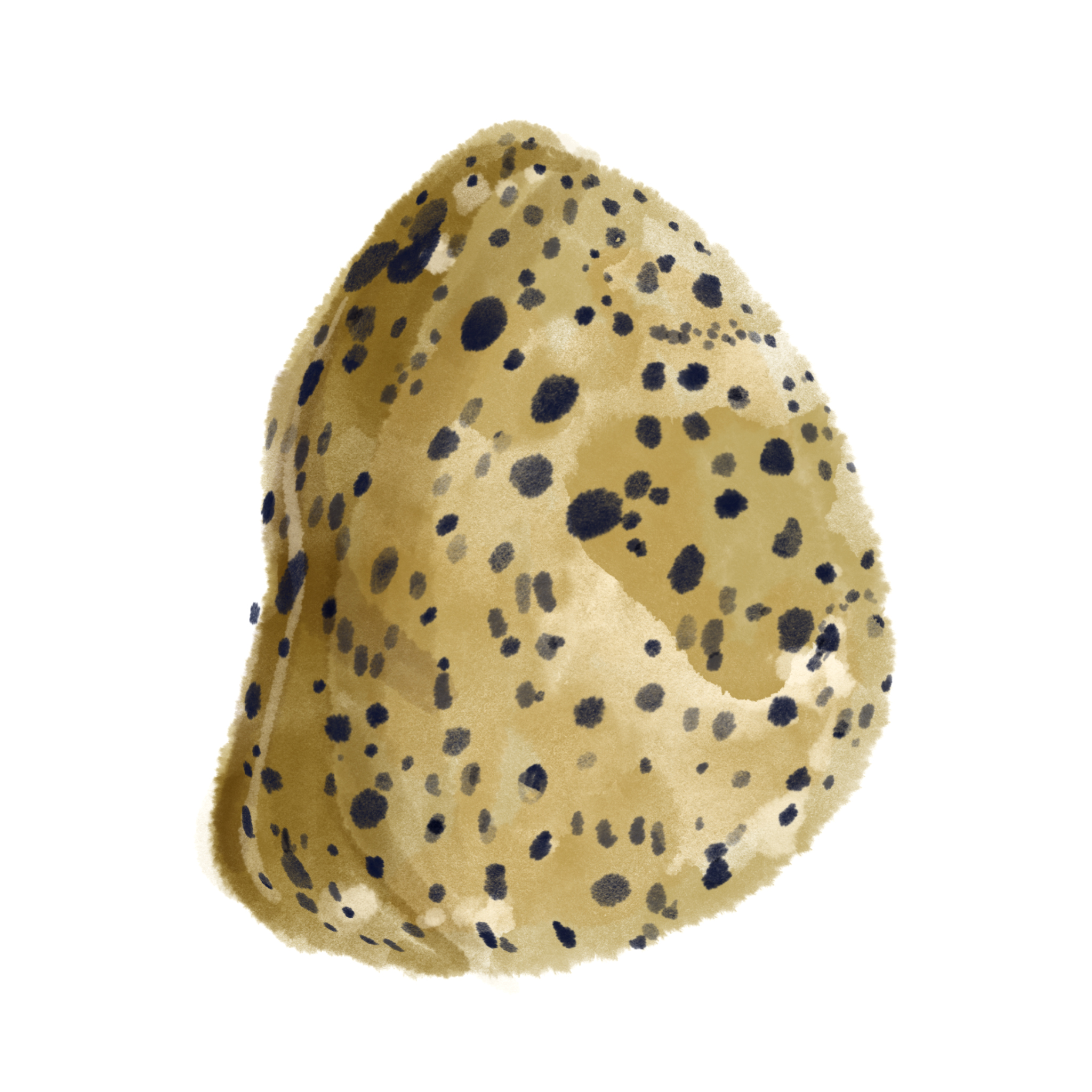 Illustration of a stone